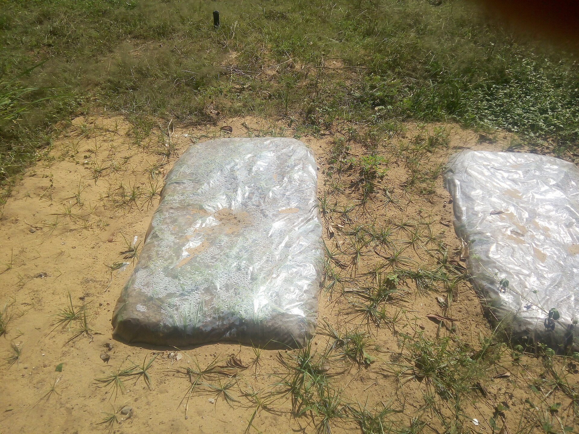闷过的干裂土